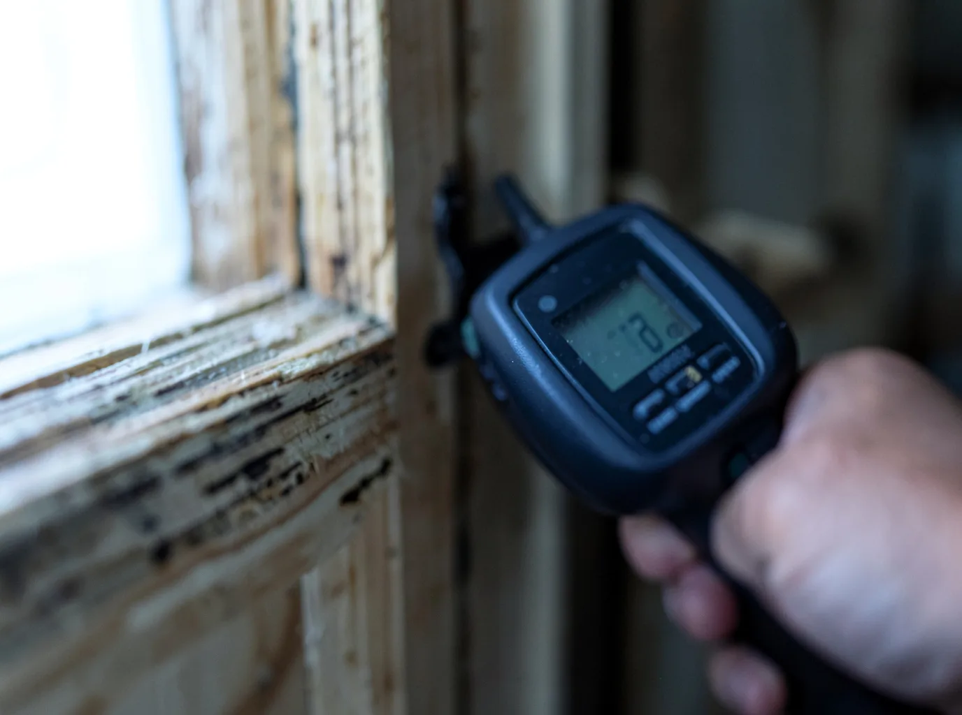 Moisture Inspection And Documentation in Norwalk, OH